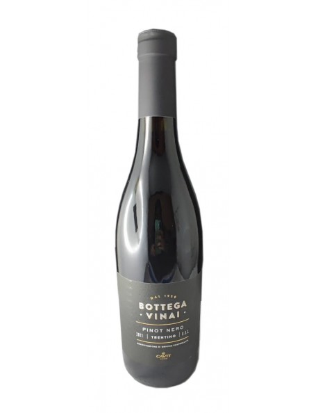 PINOT NERO  CL.75 BOTTEGA VINAI