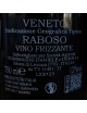 Raboso Rosso frizzante cl. 75 Tommasini